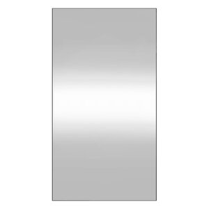 vidaXL Miroir mural 50x100 cm Verre Rectangulaire