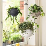 LECHUZA Jardinière suspendue BOLA Color 32 ALL-IN-ONE Blanc