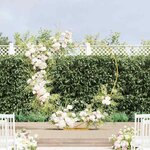 vidaXL Arche de mariage Doré 195 x 35 x 211 cm Acier