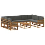 vidaXL Ensemble de canapés d'extérieur 10 pc Naturel et Anthracite