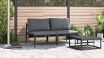 vidaXL Mobilier de jardin avec coussin 2 Pièces Anthracite Acier