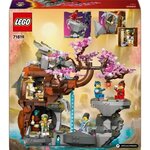 LEGO NINJAGO - Sanctuaire de la Roche du Dragon - Modèle 71819 pour Enfants de 13 Ans et Plus