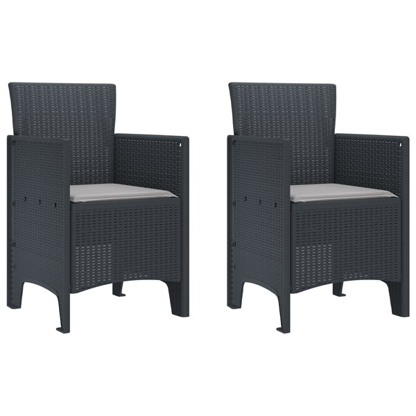 vidaXL Chaises de Jardin avec Coussins 2 Pièces Anthracite