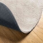 vidaXL Tapis Couleur sable 80 x 150 cm Polyester