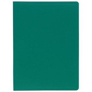 Protège-documents A4 Polypro 100 pochettes 200 vues Vert EXACOMPTA