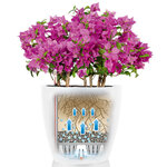 LECHUZA Jardinière Classico Color 28 ALL-IN-ONE Blanc brillant 13190