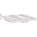 vidaXL Coussins de Matelas Blanc 200 x 200 cm Polyester sans colle