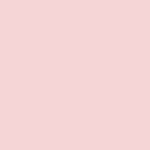 Ramette 250 Feuilles Papier 160g A4 210x297 mm Certifié FSC ROSE CLAIREFONTAINE
