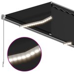 vidaXL Auvent manuel rétractable et store et LED 4x3 m Anthracite