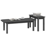 vidaXL Ensemble de tables basses 2 Pièces Gris Bois massif de pin