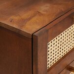 vidaXL Buffet Marron 40 x 33.5 x 75 cm Rotin et bois de mango massif