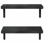 vidaXL Étagères murales 2 Pièces 50x23 5 cm noir acier inoxydable