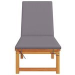 vidaXL Transat 1-personne Marron 53 x 202 x 89cm Bois d'acacia massif