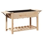 vidaXL Cache-pot de jardin avec étagère Beige 155 x 59 x 76.5 cm