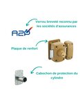 THIRARD - Verrou double entrée Transit 2 A2P* pour porte d'entrée  cylindre 40mm  acier  4 clés  époxy bronze