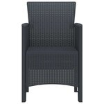 vidaXL Chaise de jardin 2 Pièces Anthracite 53 x 49 x 85 cm PP