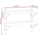 vidaXL Étagère murale 2 niveaux 75x23 5x60 cm argenté acier inoxydable