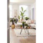 Pot de fleurs Rond VIBES - Plastique - Ø 25 x 23 cm - Blanc/Blanc soie
