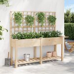 Jardinière vidaXL avec treillis et étagère 161x43x152 cm en bois massif de sapin