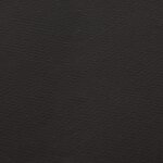 vidaXL Doublure d'étang Noir 6x2 m PVC 1 mm