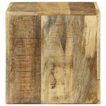 vidaXL Unites TV 2 Pièces Marron 36 x 30 x 36 cm Bois de mangue massif