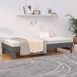 vidaXL Lit coulissant sans matelas gris 2x(80x200)cm