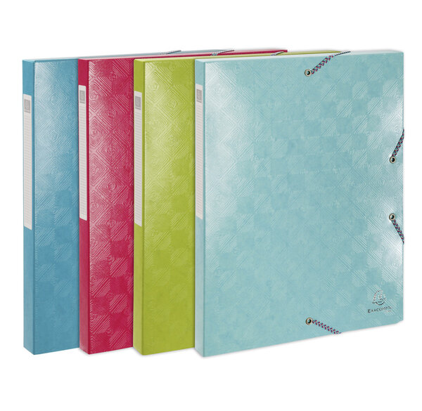 Boite de classement carte lustrée gaufrée pelliculée 1928 - dos de 25mm - a4 - x 8 - exacompta