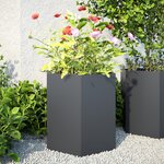 vidaXL Jardinières 2 Pièces anthracite hexagone 46x40x45 cm acier