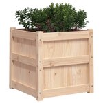 vidaXL Jardinières 2 Pièces bois de pin massif