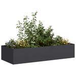 vidaXL Jardinière noir 200x80x40 cm acier