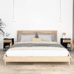 vidaXL Tables de chevet 2 Pièces noir 40x30x55 5cm bois ingénierie et fer