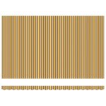 vidaXL Auvent Rétractable Multicolore 500 × 300 cm Tissu  Métal