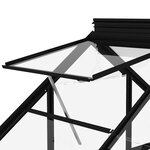 vidaXL Serre en verre Anthracite 155x200 5x191 cm Aluminium