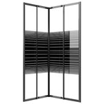 vidaXL Cabine de douche à rayures ESG 90x70x180 cm Noir