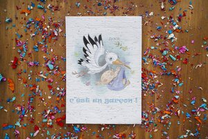 Carte à planter cigogne naissance garçon