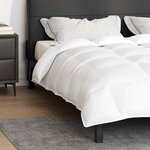 vidaXL Duvet d'hiver Blanc 200 x 200 cm Plume