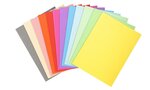 Paquet de 100 chemises Forever® 220 100  recyclé 24x32cm Assorties EXACOMPTA