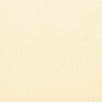 vidaXL Auvent latéral pliable de terrasse Crème 300 x 200 cm