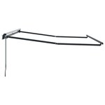 vidaXL Cadre de auvent Anthracite 3 x 2 5 m Métal
