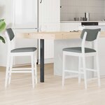vidaXL Chaises de salle à manger 2 Pièces Blanc 48 x 49 x 95 cm