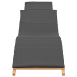 vidaXL Transat Gris foncé 188 x 55 x 59 cm Bois de teck solide