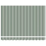 vidaXL Auvent rétractable électrique Vert et blanc 350 x 250 cm