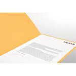 Chemise Carte Recyclée A4 - Chamois - X 100 - Falken