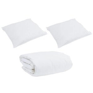 vidaXL Couette Other avec oreiller 3 Pièces Blanc 240 x 220 cm Bas