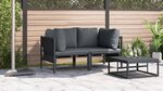 vidaXL Mobilier de jardin avec coussin 2 Pièces Anthracite Acier