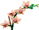 LEGO Botanicals - L'orchidée miniature - Set de construction 10343 pour adultes