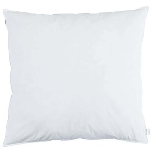 vidaXL Oreiller avec oreiller 2 Pièces Blanc 40 x 40 cm Plume