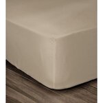 Drap Housse 100  Coton 180 x 200 cm - Bonnet 35 cm - Beige