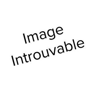 INTEX Kit nettoyage piscine avec épuisette + tete de balai + brosse