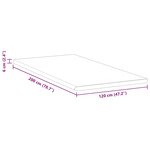vidaXL Coussins de Matelas Blanc et vert 120 x 200 cm